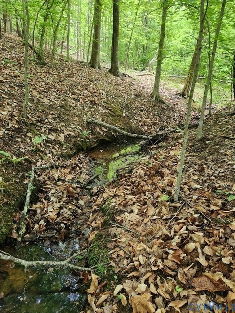 Tiny photo for 0 Bryants Ford Road, Fork Union, VA 23055 (MLS # 2611918)