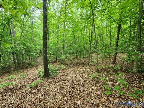 Tiny photo for 0 Bryants Ford Road, Fork Union, VA 23055 (MLS # 2611918)