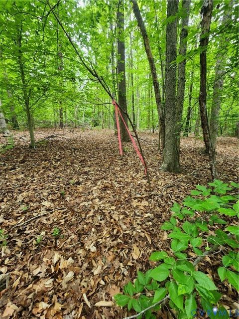 Tiny photo for 0 Bryants Ford Road, Fork Union, VA 23055 (MLS # 2611918)