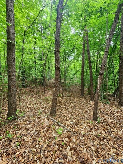 Tiny photo for 0 Bryants Ford Road, Fork Union, VA 23055 (MLS # 2611918)