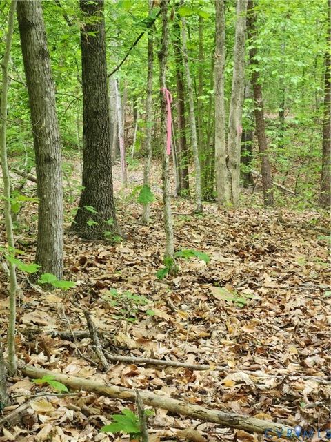 Tiny photo for 0 Bryants Ford Road, Fork Union, VA 23055 (MLS # 2611918)