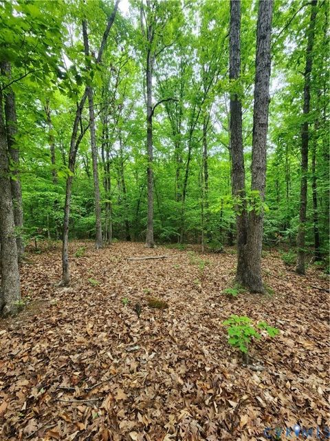 Photo of 0 Bryants Ford Road, Fork Union, VA 23055 (MLS # 2611918)
