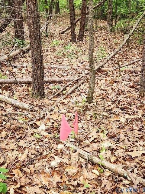 Tiny photo for 0 Bryants Ford Road, Fork Union, VA 23055 (MLS # 2611918)