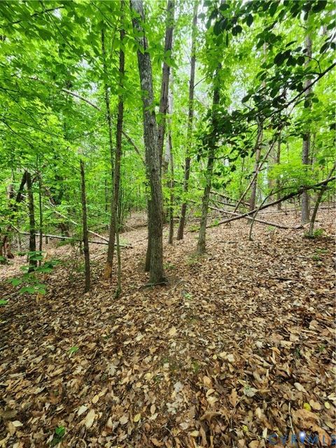 Tiny photo for 0 Bryants Ford Road, Fork Union, VA 23055 (MLS # 2611918)