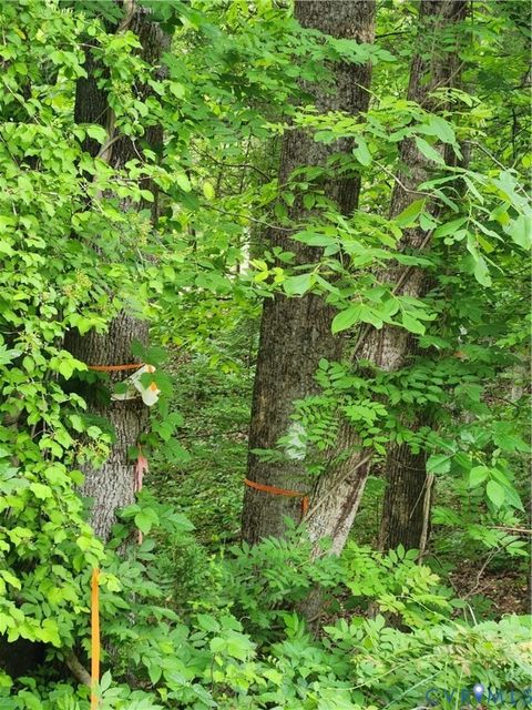 Tiny photo for 0 Bryants Ford Road, Fork Union, VA 23055 (MLS # 2611918)