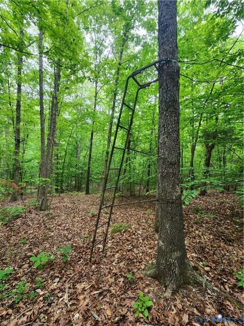 Tiny photo for 0 Bryants Ford Road, Fork Union, VA 23055 (MLS # 2611918)