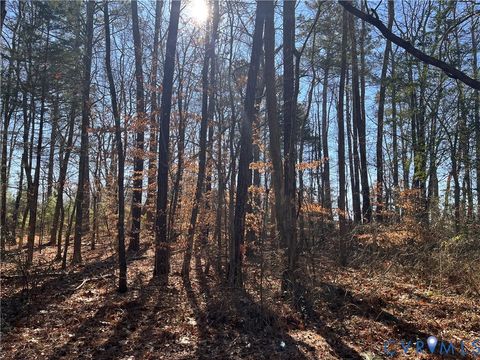 Photo of 5701 Patterson Road, Quinton, VA 23141 (MLS # 2601044)