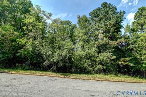 Tiny photo for 411 Lee Avenue, Highland Springs, VA 23075 (MLS # 2623566)