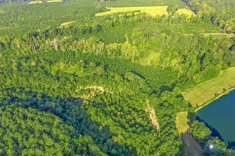 Tiny photo for 4015 Harpers Road, Mc Kenney, VA 23872 (MLS # 2625054)