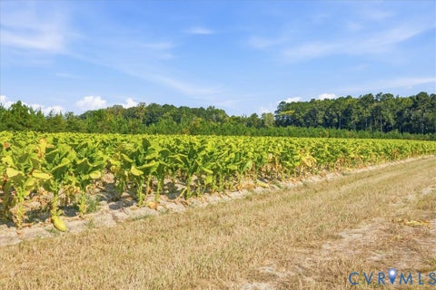 Tiny photo for 4015 Harpers Road, Mc Kenney, VA 23872 (MLS # 2625054)