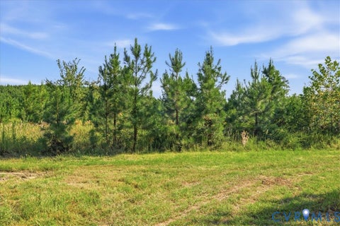 Tiny photo for 4015 Harpers Road, Mc Kenney, VA 23872 (MLS # 2625054)