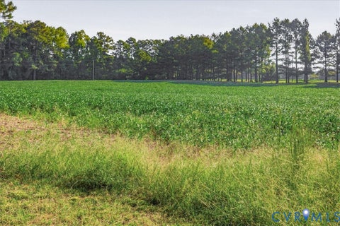 Tiny photo for 4015 Harpers Road, Mc Kenney, VA 23872 (MLS # 2625054)