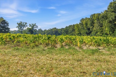 Tiny photo for 4015 Harpers Road, Mc Kenney, VA 23872 (MLS # 2625054)
