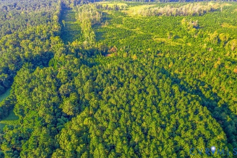 Tiny photo for 4015 Harpers Road, Mc Kenney, VA 23872 (MLS # 2625054)