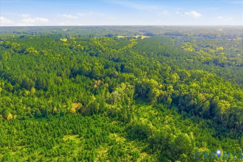 Tiny photo for 4015 Harpers Road, Mc Kenney, VA 23872 (MLS # 2625054)