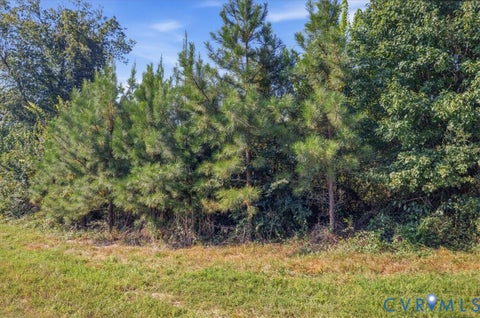 Tiny photo for 4015 Harpers Road, Mc Kenney, VA 23872 (MLS # 2625054)