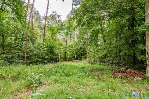 Tiny photo for 1520 Willow Brook Road, Louisa, VA 23024 (MLS # 2622909)