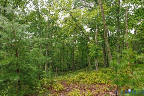 Tiny photo for 0 Shiloh Mountain Trail, Schuyler, VA 22969 (MLS # 2533753)