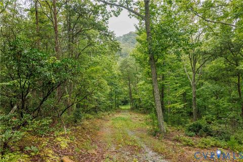 Tiny photo for 0 Shiloh Mountain Trail, Schuyler, VA 22969 (MLS # 2533753)