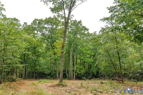 Tiny photo for 0 Shiloh Mountain Trail, Schuyler, VA 22969 (MLS # 2533753)