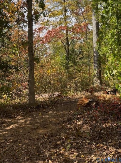 Tiny photo for 0 Pryor Road, Goochland, VA 23063 (MLS # 2530038)