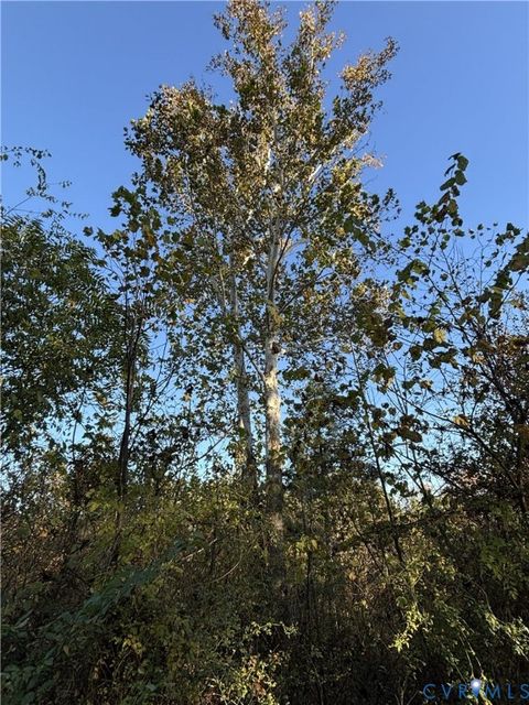 Tiny photo for 0 Pryor Road, Goochland, VA 23063 (MLS # 2530038)