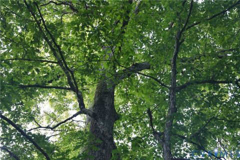 Tiny photo for 0 Redlawn, Boydton, VA 23917 (MLS # 2528011)