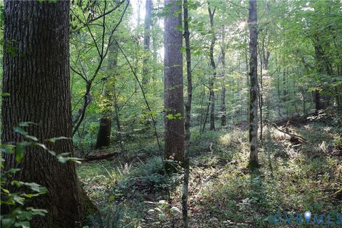 Photo of 0 Redlawn, Boydton, VA 23917 (MLS # 2528011)