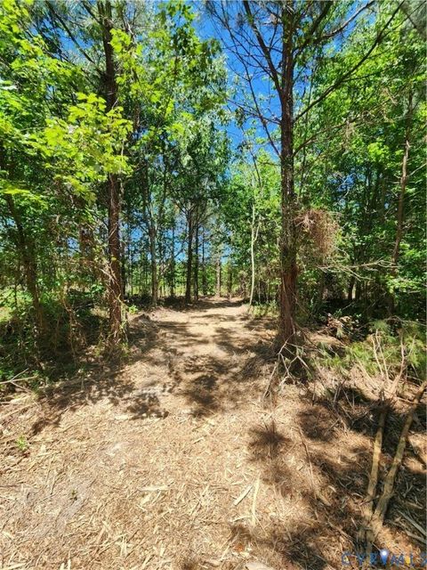 Photo of Lot 3 Deep Creek Road, Kents Store, VA 23084 (MLS # 2615222)