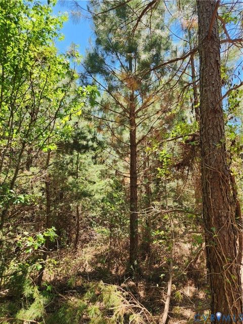 Tiny photo for Lot 3 Deep Creek Road, Kents Store, VA 23084 (MLS # 2615222)
