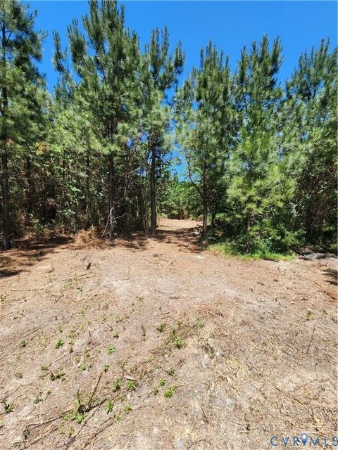 Tiny photo for Lot 3 Deep Creek Road, Kents Store, VA 23084 (MLS # 2615222)