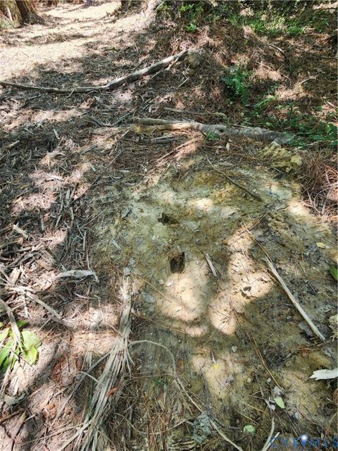 Tiny photo for Lot 3 Deep Creek Road, Kents Store, VA 23084 (MLS # 2615222)