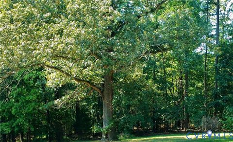 8.47 Acres Patrick Henry Highway Jetersville VA 23083