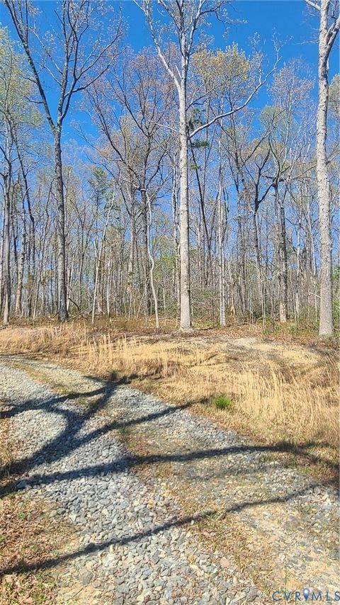 Tiny photo for 0 Henlsey Road, Mineral, VA 23117 (MLS # 2609431)