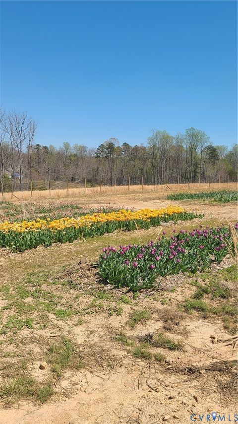 Tiny photo for 0 Henlsey Road, Mineral, VA 23117 (MLS # 2609431)