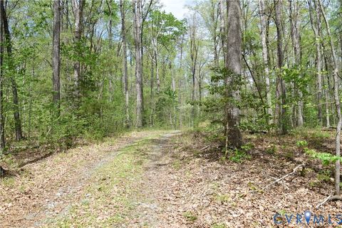 Tiny photo for 0 Henlsey Road, Mineral, VA 23117 (MLS # 2609431)