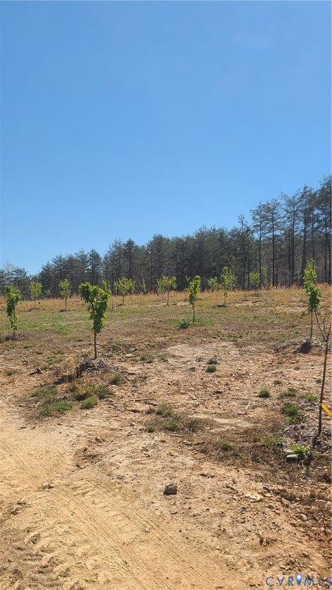 Tiny photo for 0 Henlsey Road, Mineral, VA 23117 (MLS # 2609431)
