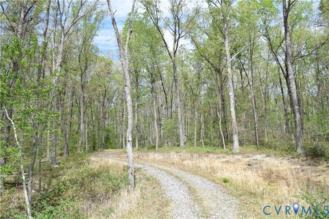 Tiny photo for 0 Henlsey Road, Mineral, VA 23117 (MLS # 2609431)