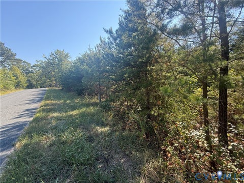 Tiny photo for 2362 Dixie Hill Road, Buckingham, VA 23921 (MLS # 2624926)