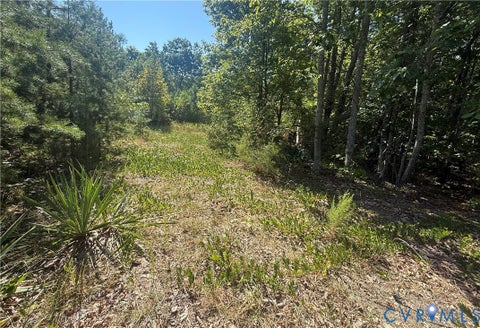 Tiny photo for 2362 Dixie Hill Road, Buckingham, VA 23921 (MLS # 2624926)