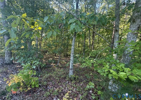 Tiny photo for 2362 Dixie Hill Road, Buckingham, VA 23921 (MLS # 2624926)