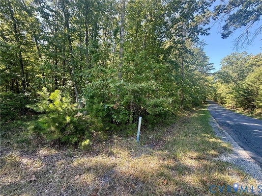 2362 DIXIE HILL RD, BUCKINGHAM, VA 23921 - Image 2b7063b98ea8e01de3f79e5a3b22fc35/3181941002