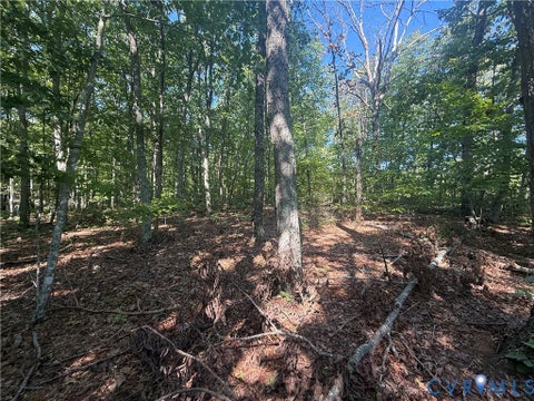 Tiny photo for 2362 Dixie Hill Road, Buckingham, VA 23921 (MLS # 2624926)