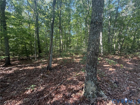 Tiny photo for 2362 Dixie Hill Road, Buckingham, VA 23921 (MLS # 2624926)