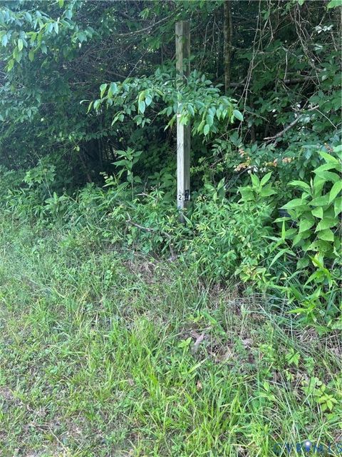 Tiny photo for Farmville, VA 23901 (MLS # 2616658)