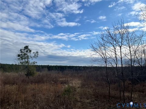 Tiny photo for XX Briery Creek Road, Scottsville, VA 24590 (MLS # 2605202)