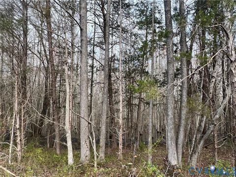 Photo of 00 Broad Street Road, Goochland, VA 23065 (MLS # 2525902)