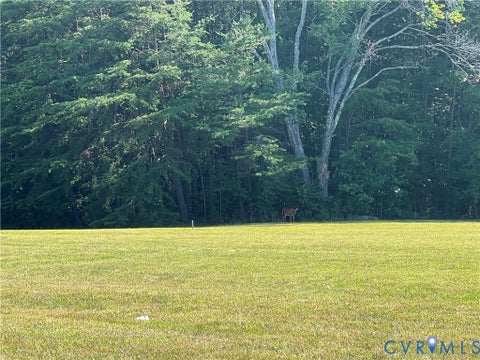 Tiny photo for 00 Glenmore Road, Howardsville, VA 24562 (MLS # 2617992)