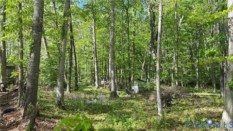 Tiny photo for 4683 Buffalo Road, Buchanan, VA 24066 (MLS # 2612182)