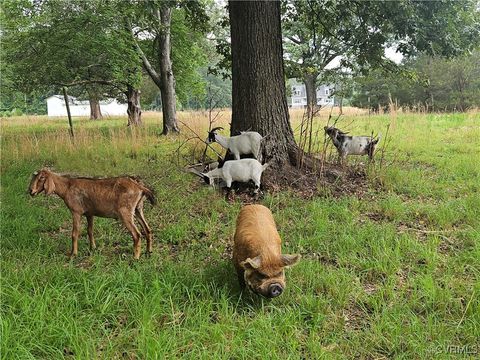 Tiny photo for 3066 Bethel Beach Road, Mathews, VA 23130 (MLS # 2517584)